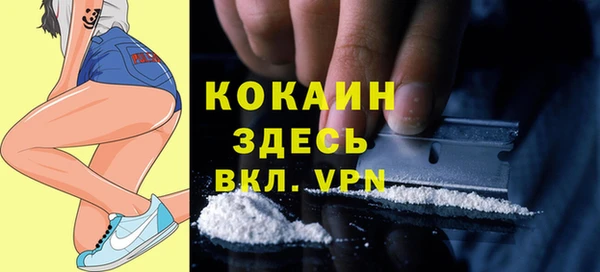 стаф Белокуриха