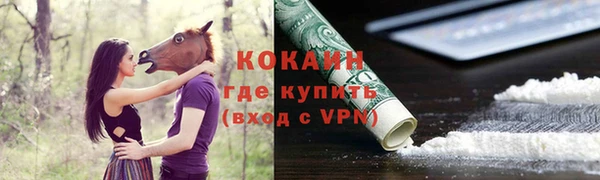 шишки Богородицк