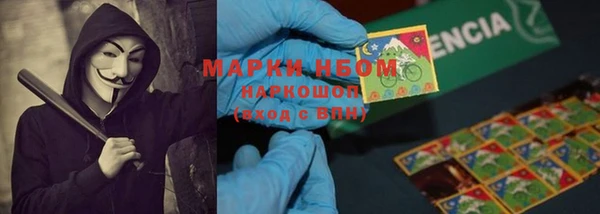 стаф Белокуриха