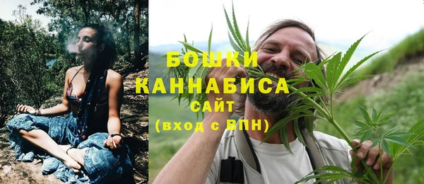 шишки Богородицк