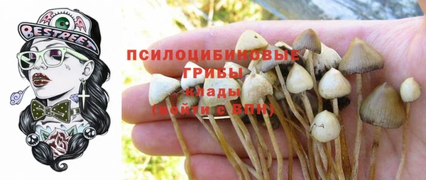 крисы Богородск