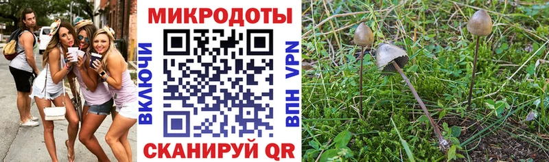 хочу наркоту  Демидов  darknet как зайти  Галлюциногенные грибы мухоморы 